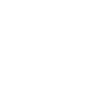 Lenkrad Icon
